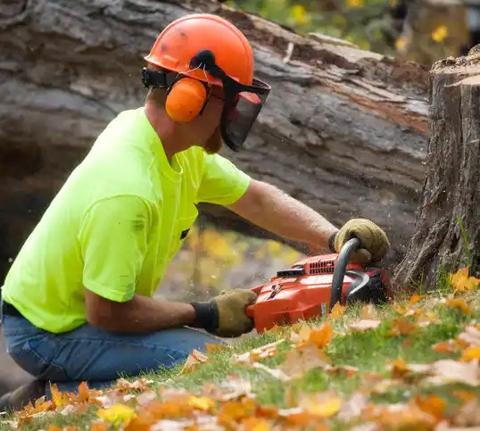 tree services Lynch